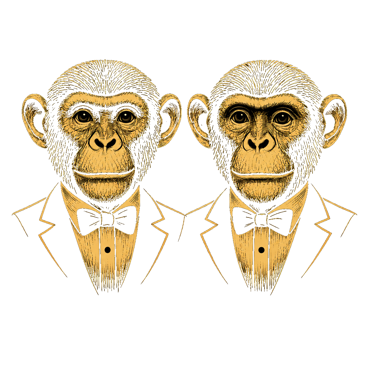 Logo TWINS